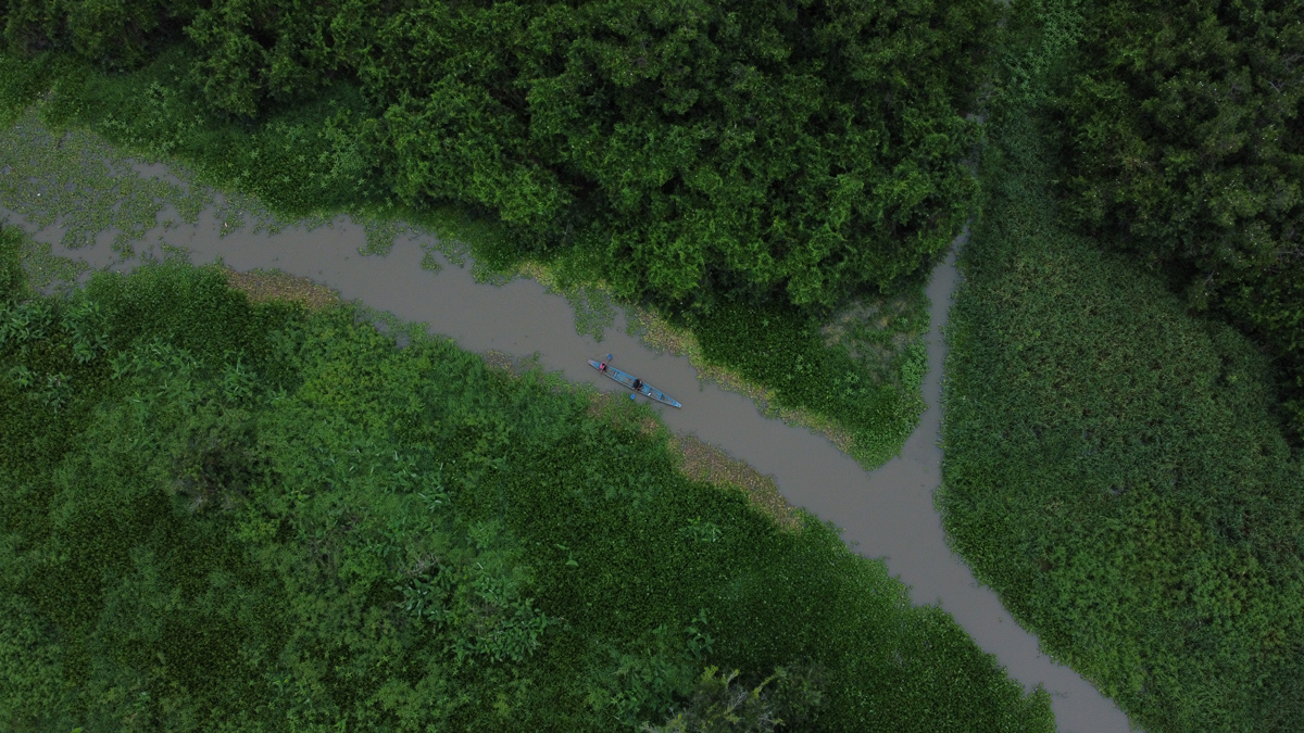 Pluralidad de oferentes en el proceso para adjudicar la interventoría del Canal del Dique: se presentaron 13 consorcios Pluralidad de oferentes en el proceso para adjudicar la interventoría del Canal del Dique: se presentaron 13 consorcios