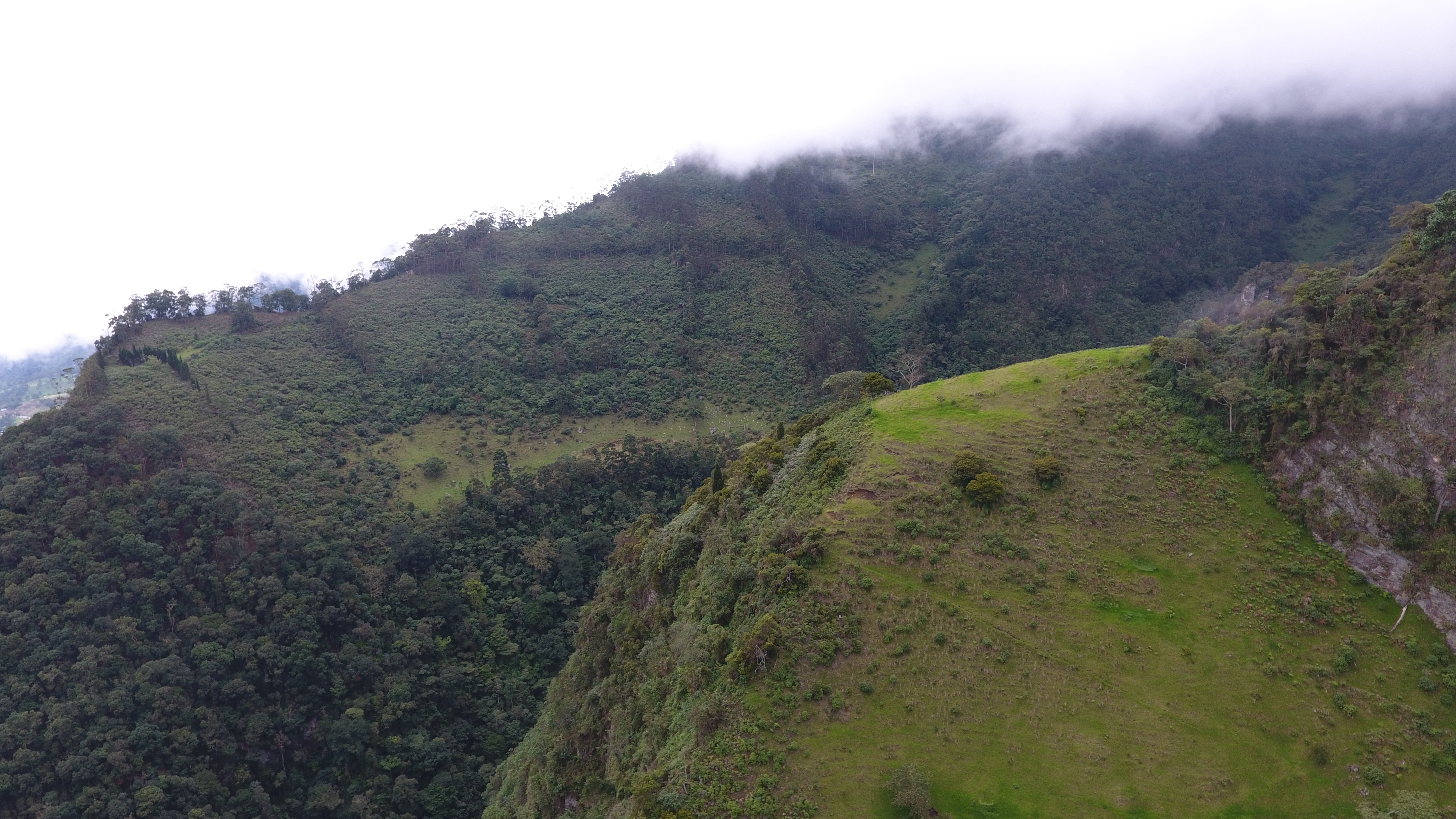 La ANI entrega predios para la conservación de corrientes hídricas en Cundinamarca La ANI entrega predios para la conservación de corrientes hídricas en Cundinamarca