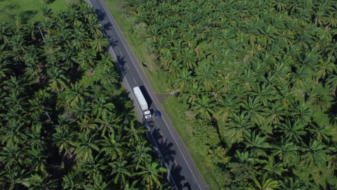 Con hechos seguimos cumpliéndole a los colombianos, ahora con la entrega de 57 km de vía mejorada entre San Onofre (Sucre) y Cruz del Viso (Bolívar)