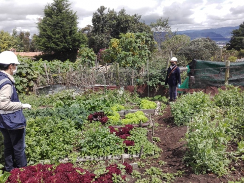 INICIATIVA PRODUCTIVA DE FAMILIAS DE VEREDA DE CHÍA GESTIONARÁ MARCA DE ALIMENTOS